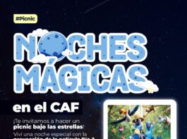 Villa Ocampo: Cine al aire libre en el CAF Juan Pablo II