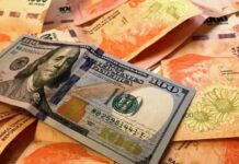 Salvador Di Stefano: El dólar en baja, el peso es rey