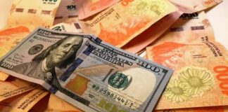 Salvador Di Stefano: El dólar en baja, el peso es rey