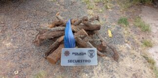 Las Toscas: Aprehenden a dos personas por sustraer leña de los playones de la Curtiembre