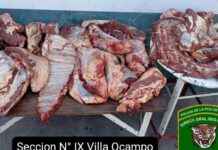 “Los Pumas” de Villa Ocampo detienen a un carnicero de Villa Guillermina por Abigeato