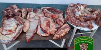 “Los Pumas” de Villa Ocampo detienen a un carnicero de Villa Guillermina por Abigeato