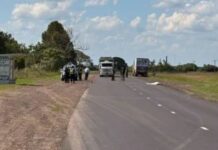 Un hombre de Lanteri murió al ser embestido por un camión