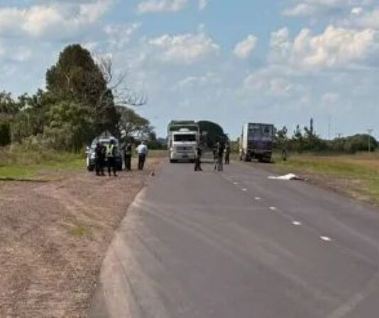 Un hombre de Lanteri murió al ser embestido por un camión