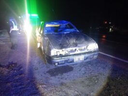 Villa Ocampo: Investigan omisión de custodia de animales tras accidente en ruta 32