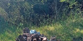 Las Toscas: Aprehendido por intentar sustraer leña de una curtiembre