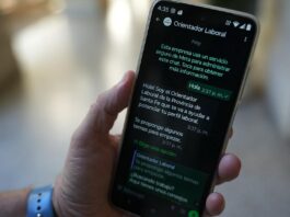 Orientador Laboral: Provincia desarrolló un asistente virtual para ayudar a encontrar trabajo