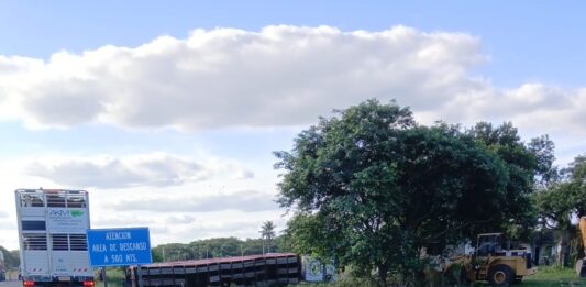 Florencia: Volcó un camión con ganado y el conductor fue hospitalizado