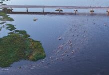 Villa Ocampo recibió a los kayakistas en el cierre de la 14° edición del Canotaje Jaaukanigás