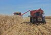Villa Ocampo: Actualización del RUPP para productores agropecuarios