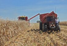 Villa Ocampo: Actualización del RUPP para productores agropecuarios