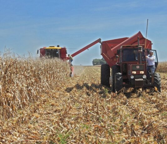 Villa Ocampo: Actualización del RUPP para productores agropecuarios