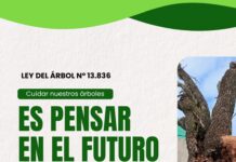 Las Toscas: Promueven el cuidado y la preservación del arbolado urbano