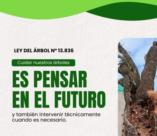 Las Toscas: Promueven el cuidado y la preservación del arbolado urbano