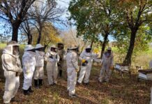 Villa Ocampo: Se desarrolló la segunda jornada del Curso de Operador Apícola