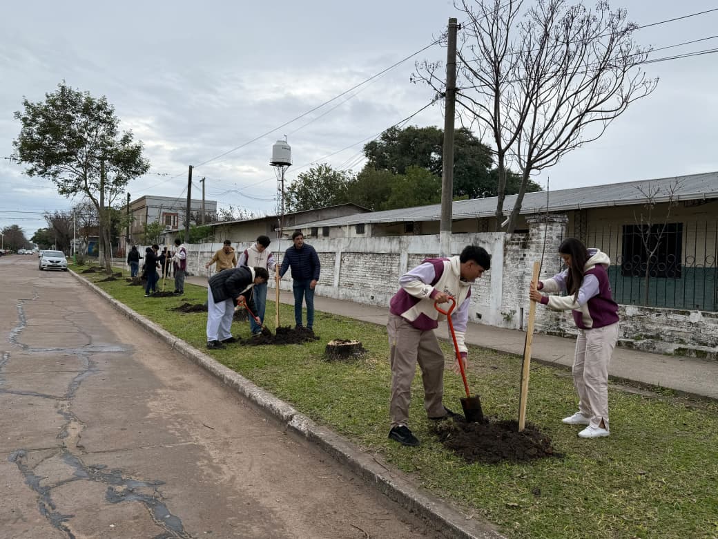 plantacion1