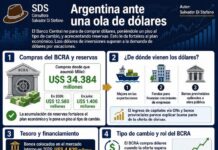 Salvador Di Stefano: Argentina ante una ola de dólares