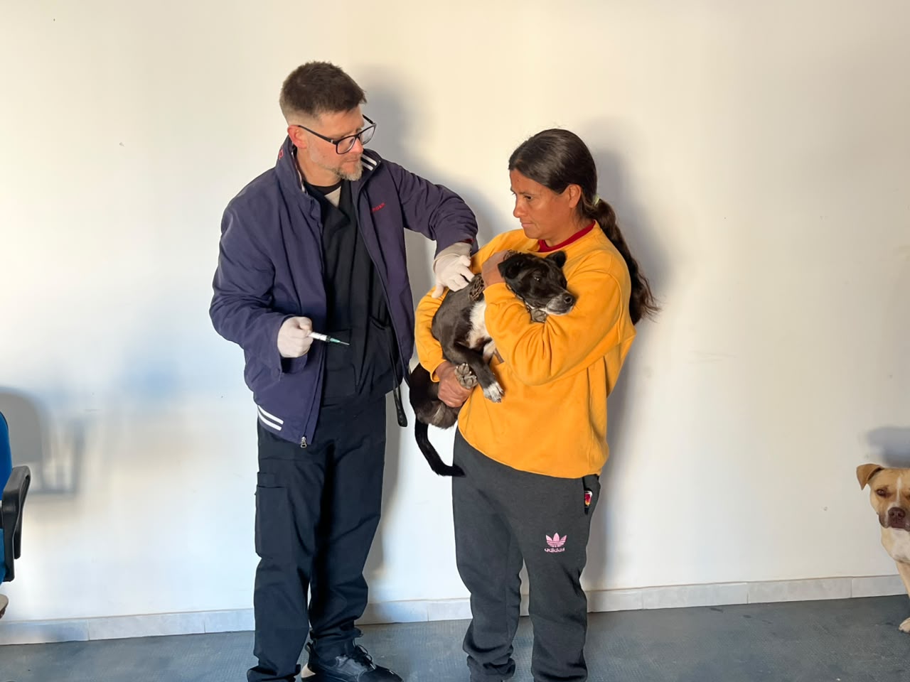 vacunacion
