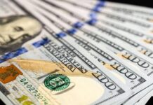 Salvador Di Stefano: Entre la tasa y el dólar