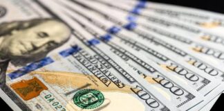 Salvador Di Stefano: Entre la tasa y el dólar