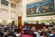Schueri: El disruptivo artículo 44 de la nueva Ley Electoral