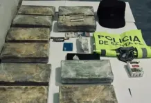 Florencia: Secuestraron más de 11 kilos de cocaína durante un control en la Ruta 11