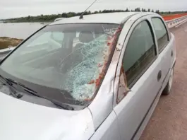 Villa Ocampo: Un animal suelto provocó un siniestro vial