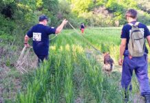 Más policías y bomberos se sumaron al operativo para encontrar a Isidro Solari