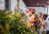 Villa Ocampo será sede de la “Exposición de Orquídeas”