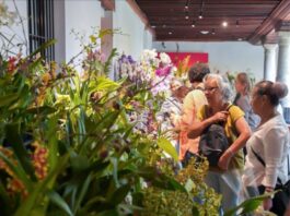 Villa Ocampo será sede de la “Exposición de Orquídeas”