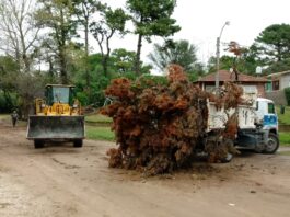 Villa Ocampo: Cronograma de recolección de ramas