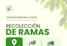 Las Toscas: Cronograma de recolección de ramas