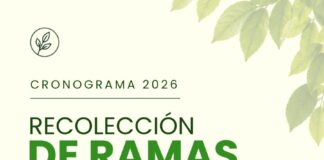 Las Toscas: Cronograma de recolección de ramas