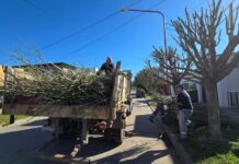 Villa Ocampo: Última semana del horario Otoño-Invierno para recolección de ramas