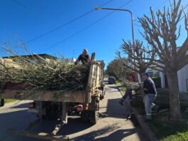 Villa Ocampo: Última semana del horario Otoño-Invierno para recolección de ramas