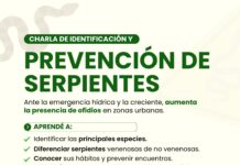 Las Toscas organiza una charla sobre prevención e identificación de serpientes