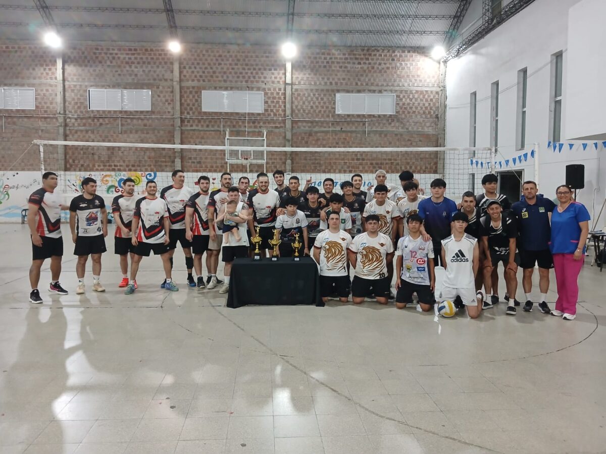 voley