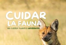 Las Toscas: Recomendaciones sobre como cuidar la Fauna Silvestre ante la creciente