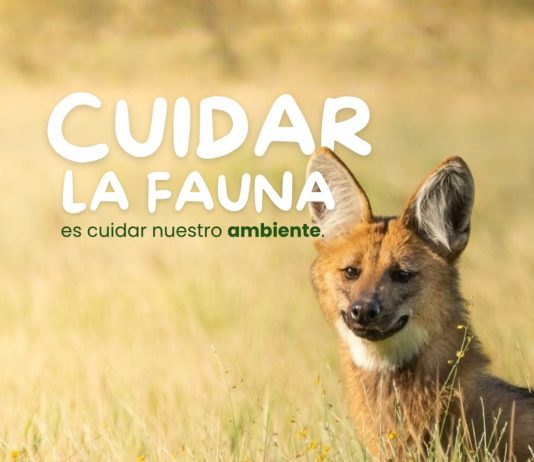 Las Toscas: Recomendaciones sobre como cuidar la Fauna Silvestre ante la creciente