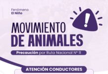 Las Toscas advierte sobre el traslado de ganado por la crecida de los ríos