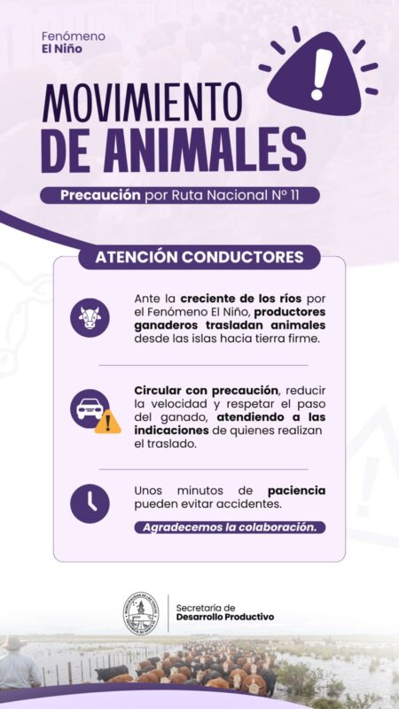 animales1