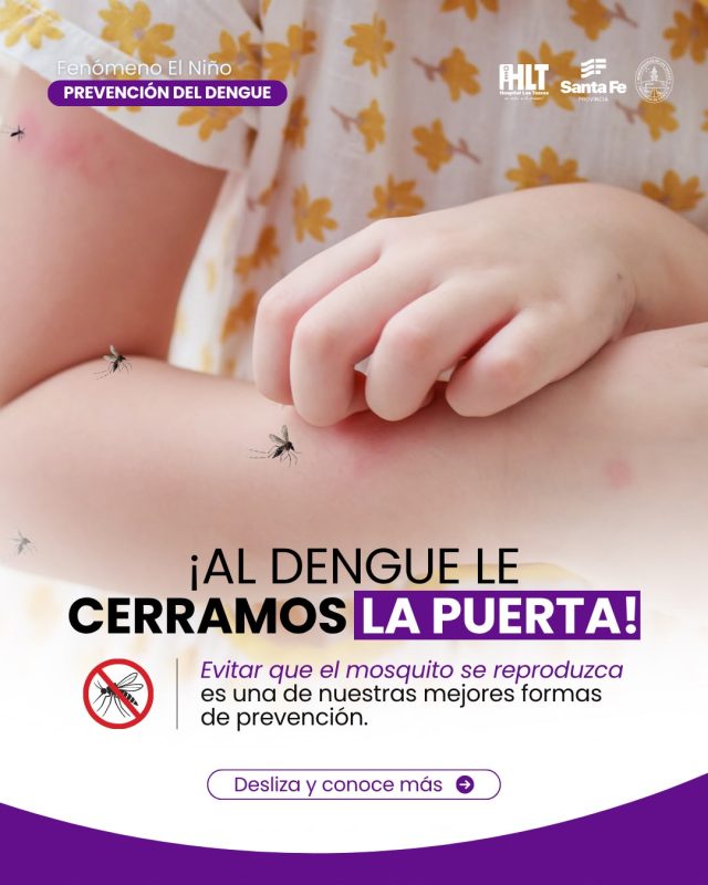 dengue portada