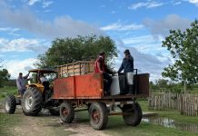 Las Toscas: 17 familias evacuadas y autoevacuadas