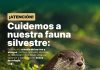 Villa Ocampo: Recomendaciones para proteger la Fauna Silvestre ante la crecida de los ríos y arroyos