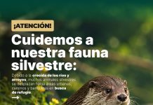 Villa Ocampo: Recomendaciones para proteger la Fauna Silvestre ante la crecida de los ríos y arroyos