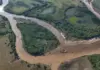 Jaaukanigás suma dos nuevas reservas naturales en el norte santafesino