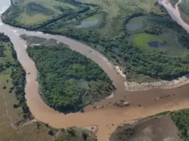 Jaaukanigás suma dos nuevas reservas naturales en el norte santafesino