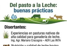 Villa Ocampo será sede de una Jornada de Capacitación sobre buenas prácticas en la producción lechera