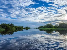El Intendente Marega declaró de Interés Municipal el Acto Conmemorativo por los 25 años del Sitio Ramsar Jaaukanigás