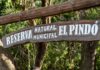 Villa Ocampo: La Reserva Natural «El Pindó» permanece cerrada temporalmente